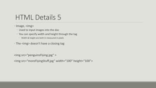 HTML Details 5
• Image, <img>
• Used to input images into the doc
• You can specify width and height through the tag
• Width & height are both in measured in pixels
• The <img> doesn’t have a closing tag
<img src=“penguinsFlying.jpg” >
<img src=“moreFlyingStuff.jpg” width=“100” height=“100”>
 
