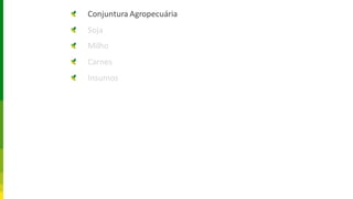 Conjuntura Agropecuária
Soja
Milho
Carnes
Insumos
 