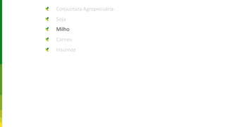 Conjuntura Agropecuária
Soja
Milho
Carnes
Insumos
 