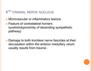 4TH CRANIAL NERVE NUCLEUS
 Microvascular or inflammatory lesions
 Feature of contralateral horners
syndrome(proximity of decending sympathetic
pathway)
 Damage to both trochlear nerve fascicles at their
decussation within the anterior medullary velum
usually results from trauma .
 
