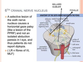6TH CRANIAL NERVE NUCLEUS
 A selective lesion of
the sixth nerve
nucleus causes a
horizontal gaze palsy
(like a lesion of the
PPRF) and not an
isolated abduction
paresis in I eye, and
thus patients do not
report diplopia.
 ( LR n fibres of I/L
MLF)
FOVILLE
MILLARD
GUBLER
 