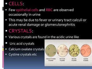  CELLS:
 Few epithelial cells and RBC are observed
occasionally in urine
 This may be due to fever or urinary tract calculi or
acute renal damage or glomerulonephritis
 CRYSTALS:
 Various crystals are found in the acidic urine like
 Uric acid crystals
 Calcium oxalate crystals
 Cystine crystals etc
 