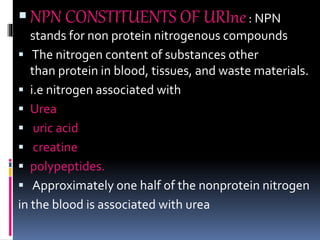 NPN CONSTITUENTS OF URIne: NPN
stands for non protein nitrogenous compounds
 The nitrogen content of substances other
than protein in blood, tissues, and waste materials.
 i.e nitrogen associated with
 Urea
 uric acid
 creatine
 polypeptides.
 Approximately one half of the nonprotein nitrogen
in the blood is associated with urea
 