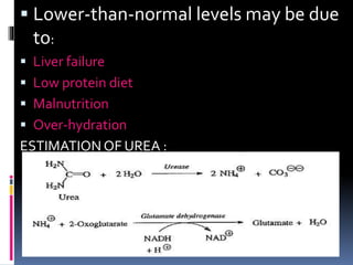  Lower-than-normal levels may be due
to:
 Liver failure
 Low protein diet
 Malnutrition
 Over-hydration
ESTIMATION OF UREA :
 
