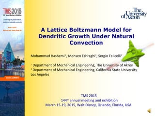 A Lattice Boltzmann Model for
Dendritic Growth Under Natural
Convection
Mohammad Hashemi1
, Mohsen Eshraghi2
, Sergio Felicelli1
1
Department of Mechanical Engineering, The University of Akron
2
Department of Mechanical Engineering, California State University
Los Angeles
TMS 2015
144th
annual meeting and exhibition
March 15-19, 2015, Walt Disney, Orlando, Florida, USA
 
