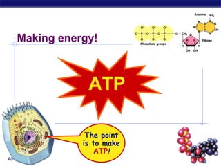 Making energy!

ATP
The point
is to make
ATP!
AP Biology

2008-2009

 