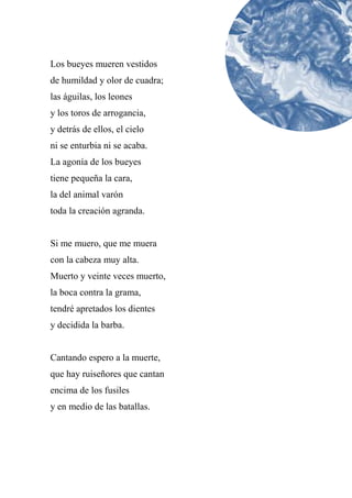 Los bueyes mueren vestidos
de humildad y olor de cuadra;
las águilas, los leones
y los toros de arrogancia,
y detrás de ellos, el cielo
ni se enturbia ni se acaba.
La agonía de los bueyes
tiene pequeña la cara,
la del animal varón
toda la creación agranda.
Si me muero, que me muera
con la cabeza muy alta.
Muerto y veinte veces muerto,
la boca contra la grama,
tendré apretados los dientes
y decidida la barba.
Cantando espero a la muerte,
que hay ruiseñores que cantan
encima de los fusiles
y en medio de las batallas.
 