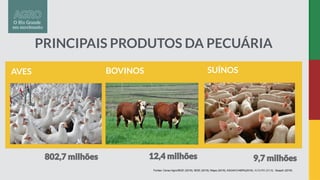 PRINCIPAIS PRODUTOS DA PECUÁRIA
Fontes: Censo Agro/IBGE (2018); IBGE (2018); Mapa (2019); ASGAVC/ABPA(2018); Seapdr (2018)
SUÍNOS
BOVINOS
AVES
 