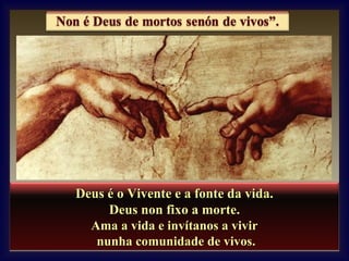 Deus é o Vivente e a fonte da vida.
Deus non fixo a morte.
Ama a vida e invítanos a vivir
nunha comunidade de vivos.

 