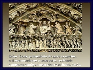 Señor Xesús, primoxénito de entre os mortos,
a ti encomendamos a nosa sorte, confiando
compartir contigo a nosa vida resucitada. Amén.

 