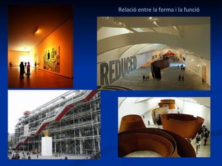 Relació entre la forma i la funció   