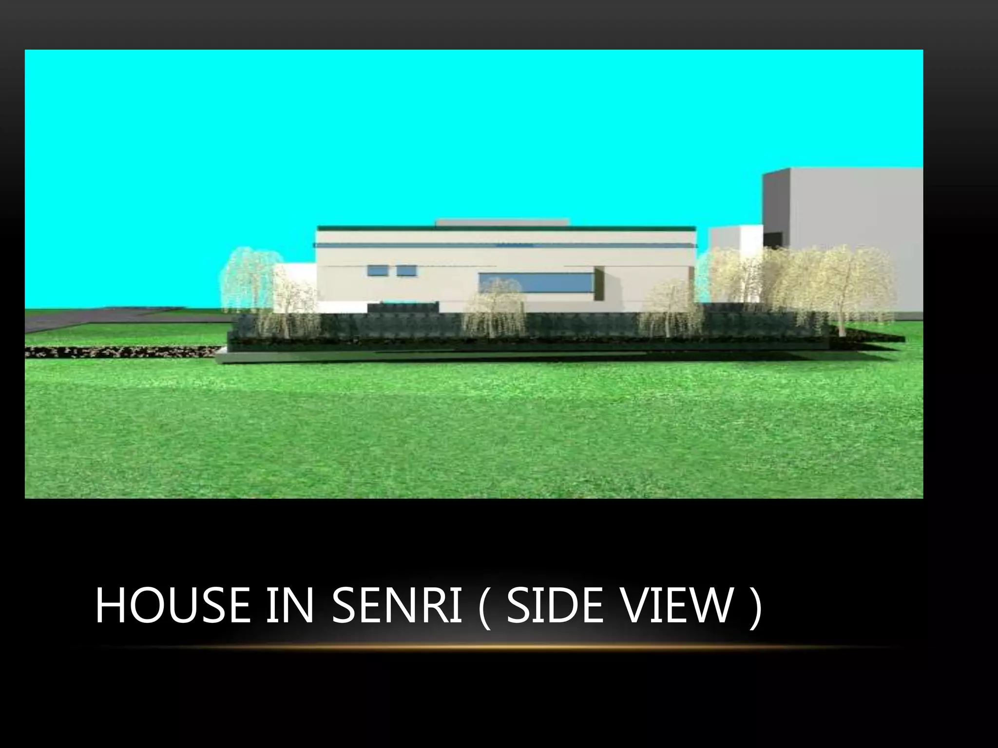 HOUSE IN SENRI ( SIDE VIEW )
 
