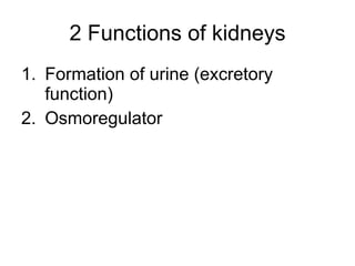 2 Functions of kidneys ,[object Object],[object Object]