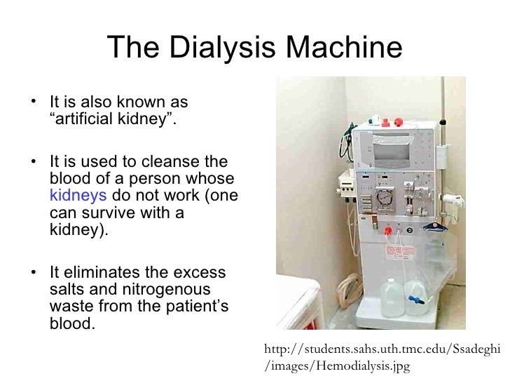 Chapter 11 Excretion Lesson 3 The 2 functions of kidneys and Kidney…