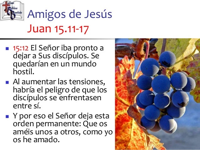 Resultado de imagen para Juan 15,12-17