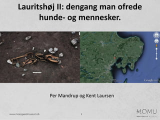 1
Lauritshøj II: dengang man ofrede
hunde- og mennesker.
Per Mandrup og Kent Laursen
 