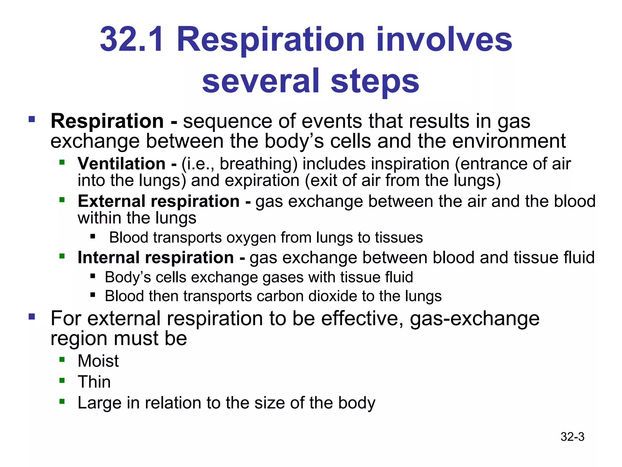 32.1 Respiration involves  several steps Respiration -  sequence of events that results in gas exchange between the body’s cells and the environment Ventilation -  (i.e., breathing) includes inspiration (entrance of air into the lungs) and expiration (exit of air from the lungs) External respiration -  gas exchange between the air and the blood within the lungs Blood transports oxygen from lungs to tissues Internal respiration -  gas exchange between blood and tissue fluid Body’s cells exchange gases with tissue fluid Blood then transports carbon dioxide to the lungs For external respiration to be effective, gas-exchange region must be  Moist Thin Large in relation to the size of the body 32- 