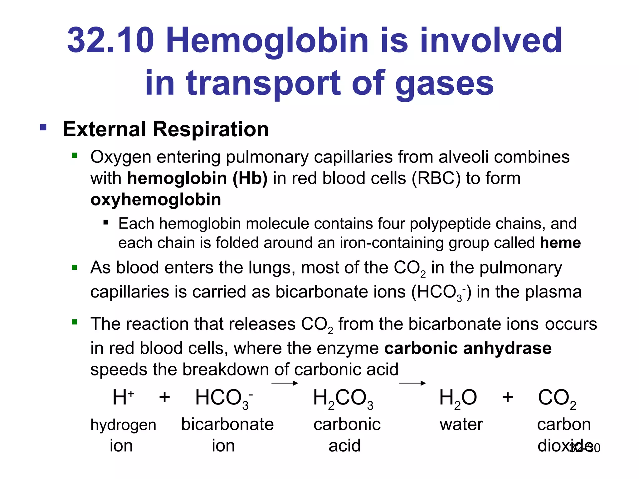 32.10 Hemoglobin is involved  in transport of gases External Respiration  Oxygen entering pulmonary capillaries from alveoli combines with  hemoglobin (Hb)  in red blood cells (RBC) to form  oxyhemoglobin Each hemoglobin molecule contains four polypeptide chains, and each chain is folded around an iron-containing group called  heme As blood enters the lungs, most of the CO 2  in the pulmonary capillaries is carried as bicarbonate ions (HCO 3 - ) in the plasma The reaction that releases CO 2  from the bicarbonate ions   occurs in red blood cells, where the enzyme  carbonic anhydrase  speeds the breakdown of carbonic acid   H +   +  HCO 3 -    H 2 CO 3   H 2 O  +  CO 2  hydrogen   bicarbonate  carbonic  water  carbon ion  ion  acid  dioxide 32- 