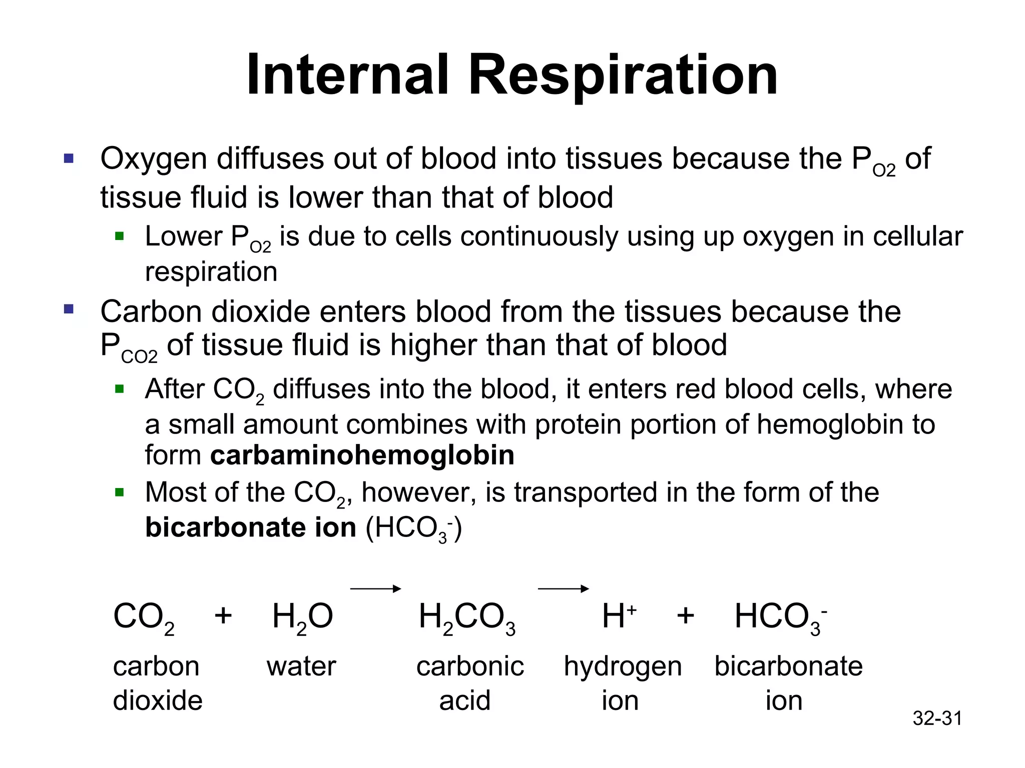 Internal Respiration Oxygen diffuses out of blood into tissues because the P O2  of tissue fluid is lower than that of blood Lower P O2  is due to cells continuously using up oxygen in cellular respiration Carbon dioxide enters blood from the tissues because the P CO2  of tissue fluid is higher than that of blood After CO 2  diffuses into the blood, it enters red blood cells, where a small amount combines with protein portion of hemoglobin to form  carbaminohemoglobin Most of the CO 2 , however, is transported in the form of the  bicarbonate ion  (HCO 3 - ) CO 2   +  H 2 O    H 2 CO 3   H +   +  HCO 3 - carbon water   carbonic  hydrogen  bicarbonate dioxide  acid  ion  ion  32- 