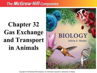 Copyright  ©  The McGraw-Hill Companies, Inc. Permission required for reproduction or display. Chapter 32 Gas Exchange and Transport in Animals 