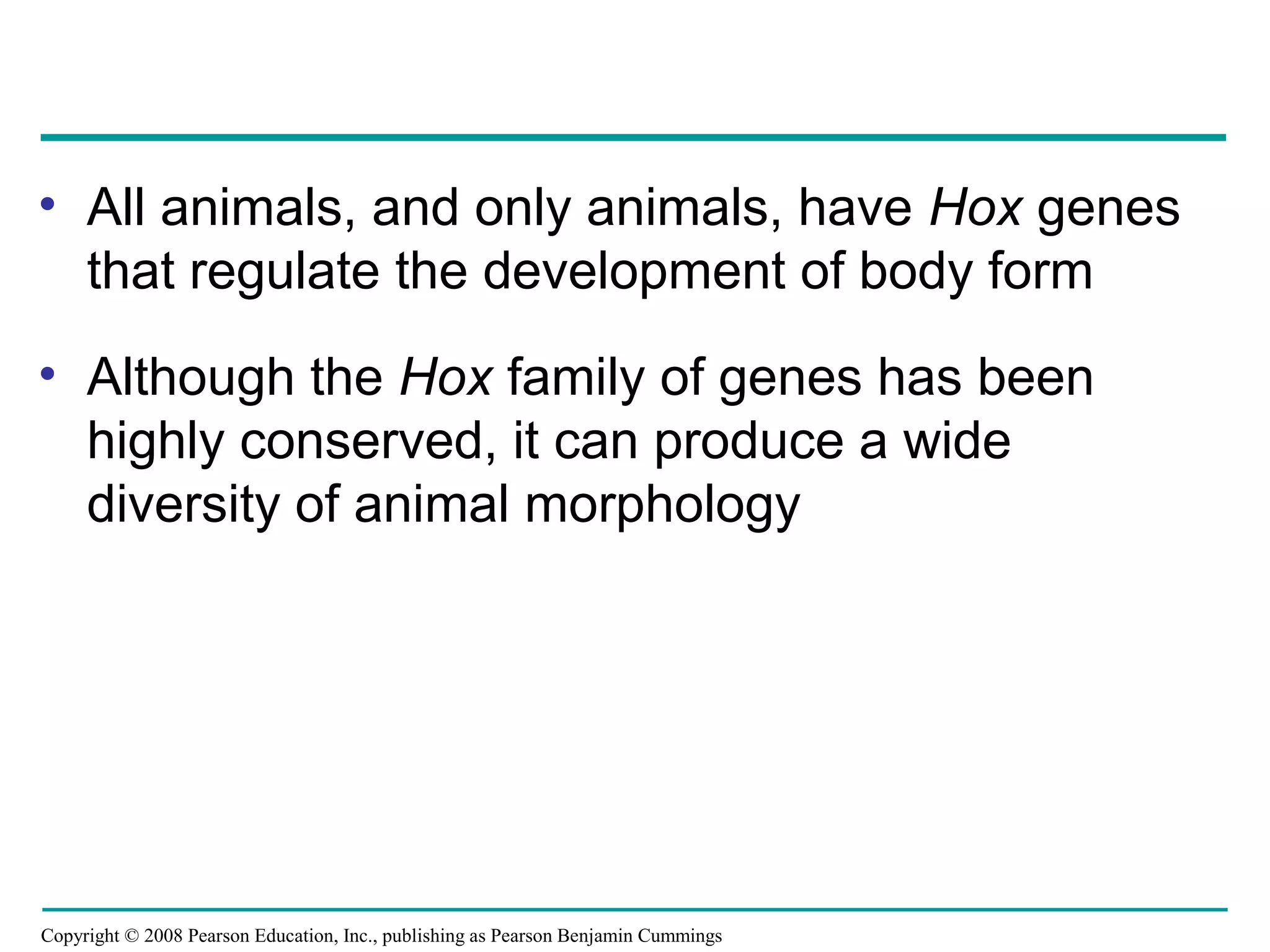 Copyright © 2008 Pearson Education, Inc., publishing as Pearson Benjamin Cummings
• All animals, and only animals, have Hox genes
that regulate the development of body form
• Although the Hox family of genes has been
highly conserved, it can produce a wide
diversity of animal morphology
 