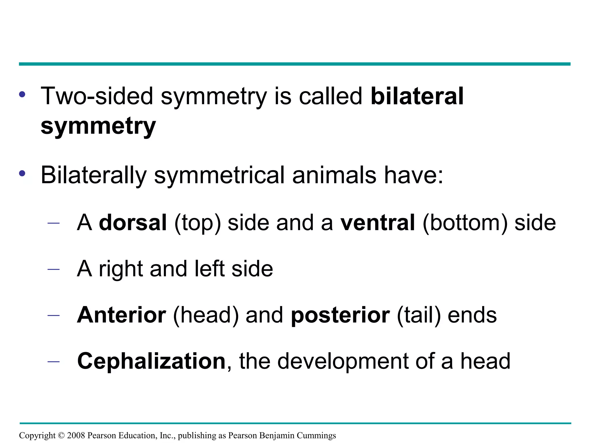 Copyright © 2008 Pearson Education, Inc., publishing as Pearson Benjamin Cummings
• Two-sided symmetry is called bilateral
symmetry
• Bilaterally symmetrical animals have:
– A dorsal (top) side and a ventral (bottom) side
– A right and left side
– Anterior (head) and posterior (tail) ends
– Cephalization, the development of a head
 