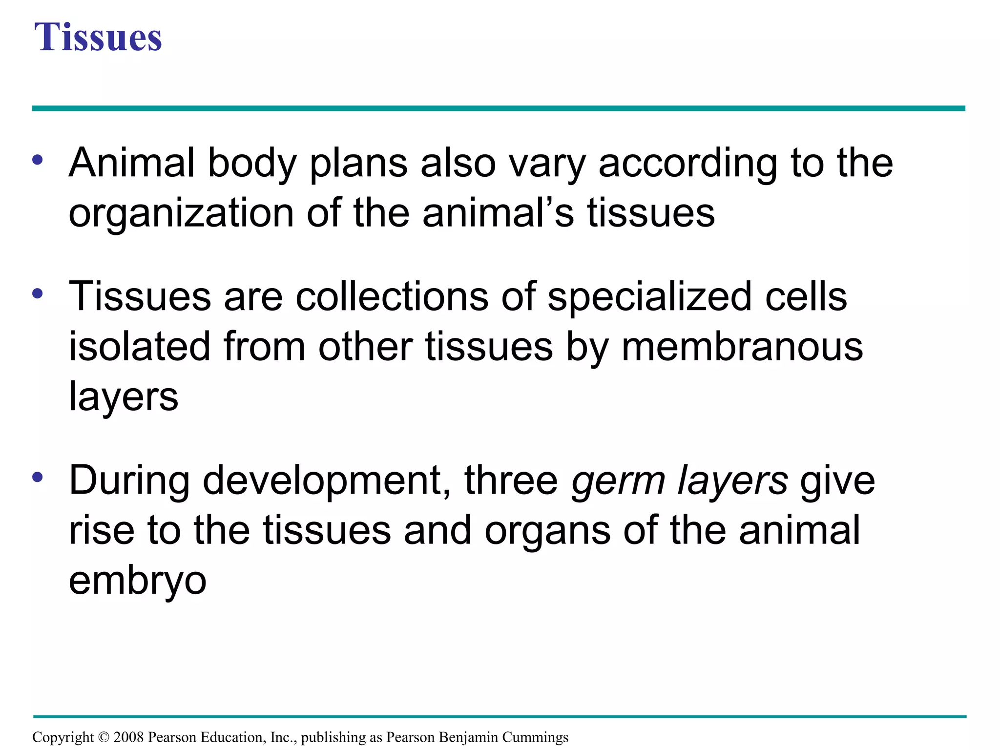 Copyright © 2008 Pearson Education, Inc., publishing as Pearson Benjamin Cummings
Tissues
• Animal body plans also vary according to the
organization of the animal’s tissues
• Tissues are collections of specialized cells
isolated from other tissues by membranous
layers
• During development, three germ layers give
rise to the tissues and organs of the animal
embryo
 