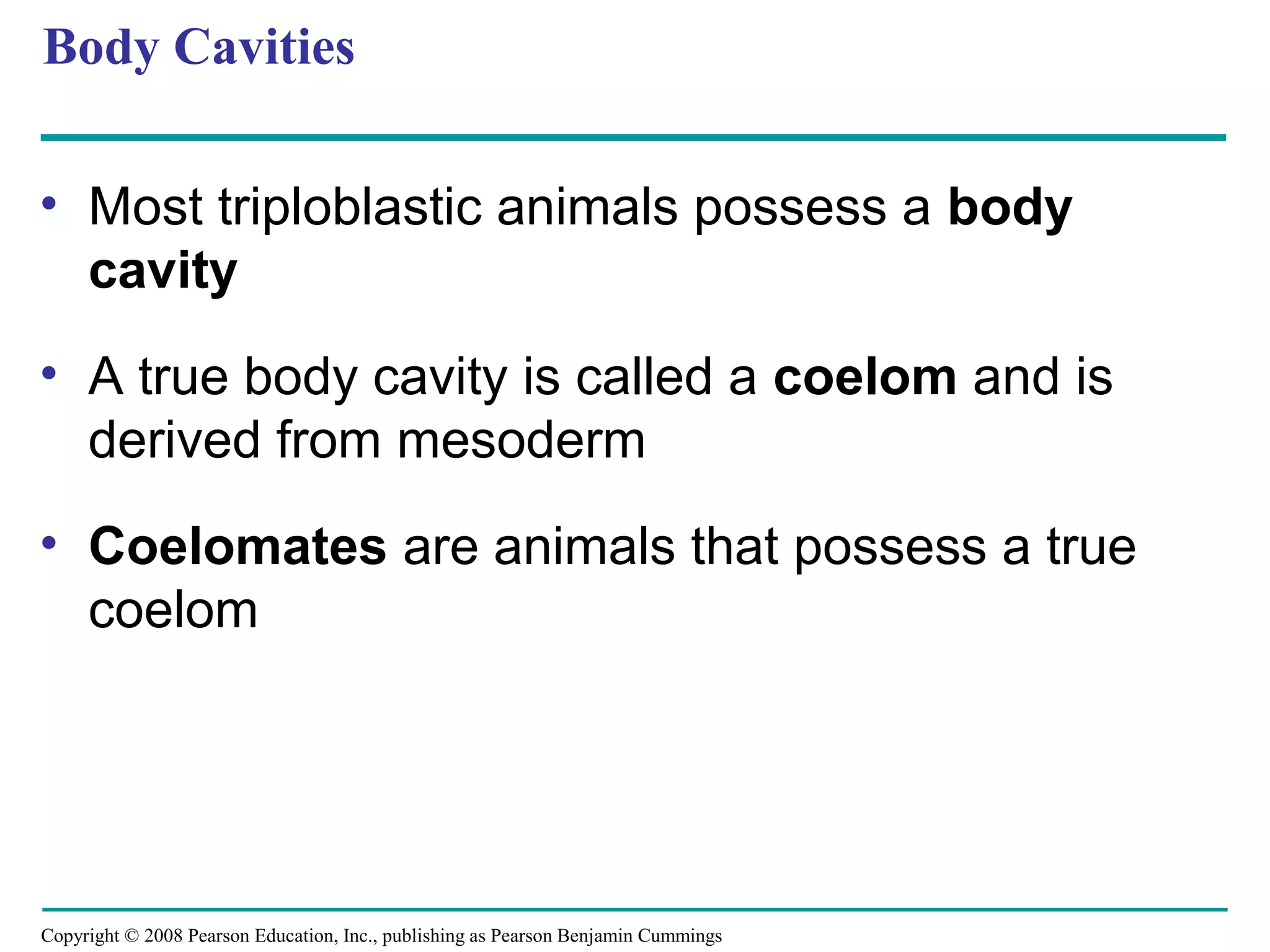 Copyright © 2008 Pearson Education, Inc., publishing as Pearson Benjamin Cummings
Body Cavities
• Most triploblastic animals possess a body
cavity
• A true body cavity is called a coelom and is
derived from mesoderm
• Coelomates are animals that possess a true
coelom
 