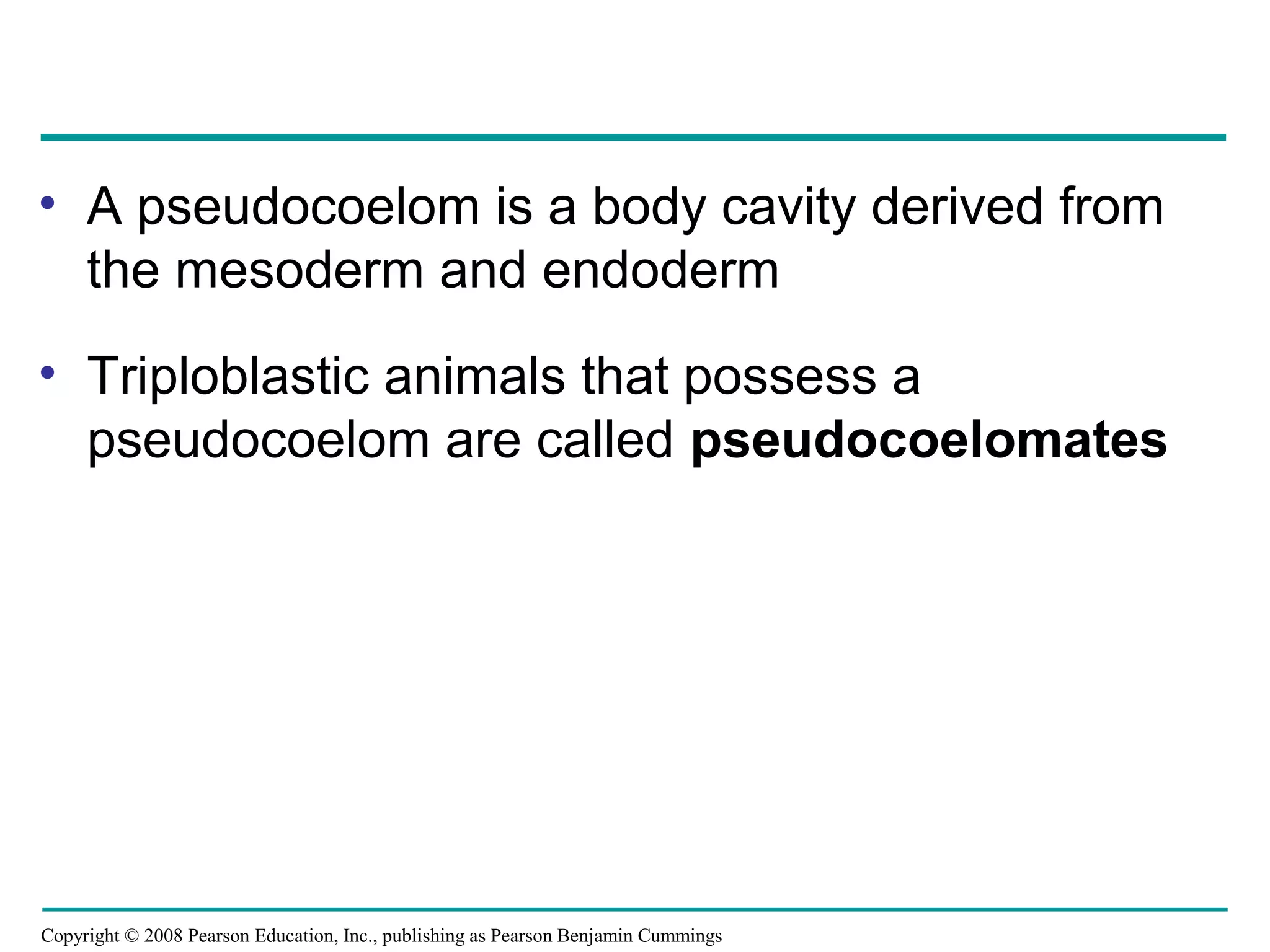 Copyright © 2008 Pearson Education, Inc., publishing as Pearson Benjamin Cummings
• A pseudocoelom is a body cavity derived from
the mesoderm and endoderm
• Triploblastic animals that possess a
pseudocoelom are called pseudocoelomates
 