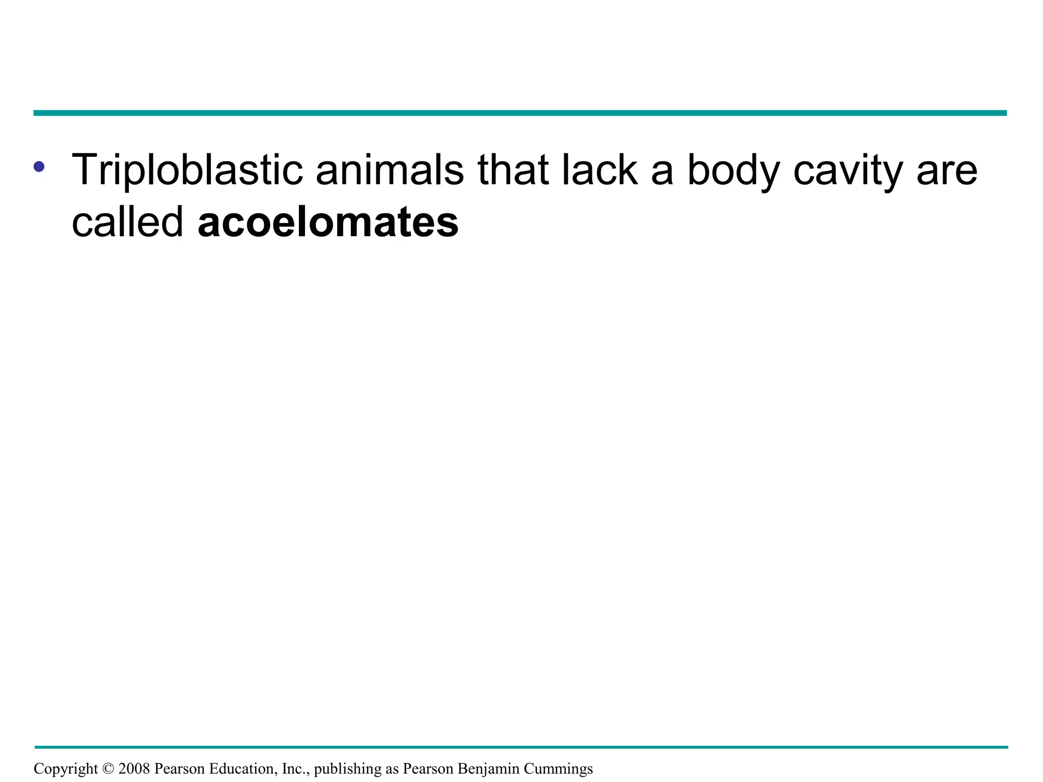 Copyright © 2008 Pearson Education, Inc., publishing as Pearson Benjamin Cummings
• Triploblastic animals that lack a body cavity are
called acoelomates
 