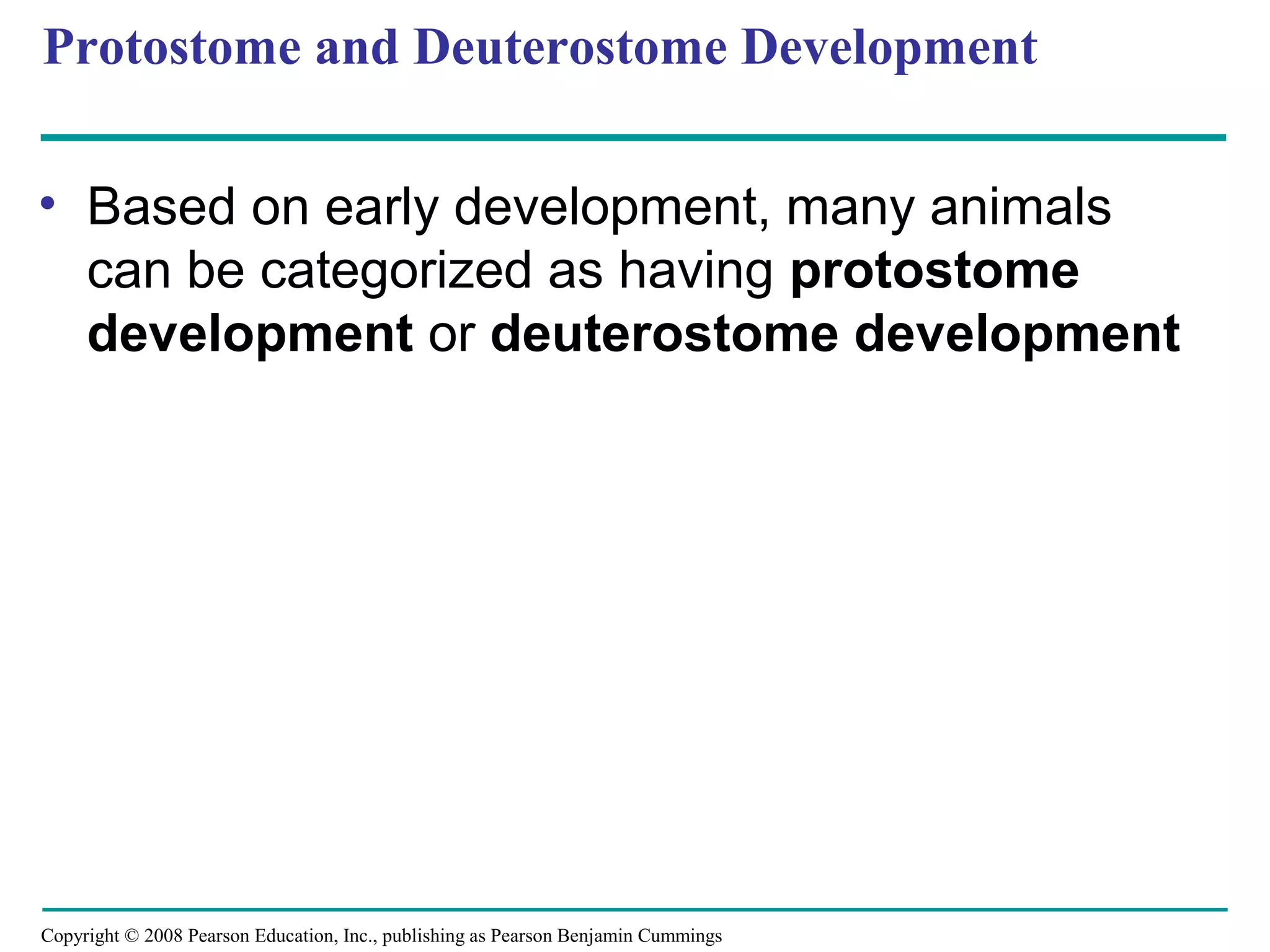 Copyright © 2008 Pearson Education, Inc., publishing as Pearson Benjamin Cummings
Protostome and Deuterostome Development
• Based on early development, many animals
can be categorized as having protostome
development or deuterostome development
 