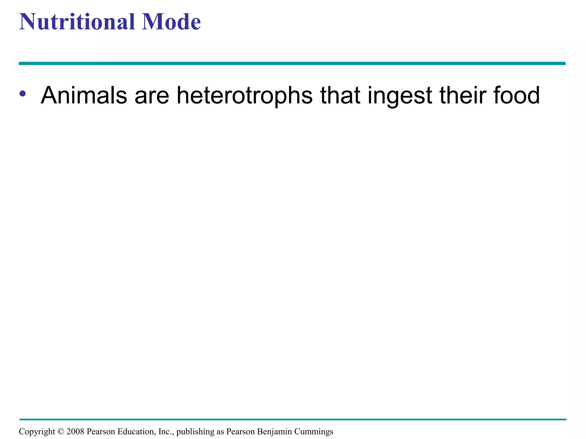Copyright © 2008 Pearson Education, Inc., publishing as Pearson Benjamin Cummings
Nutritional Mode
• Animals are heterotrophs that ingest their food
 
