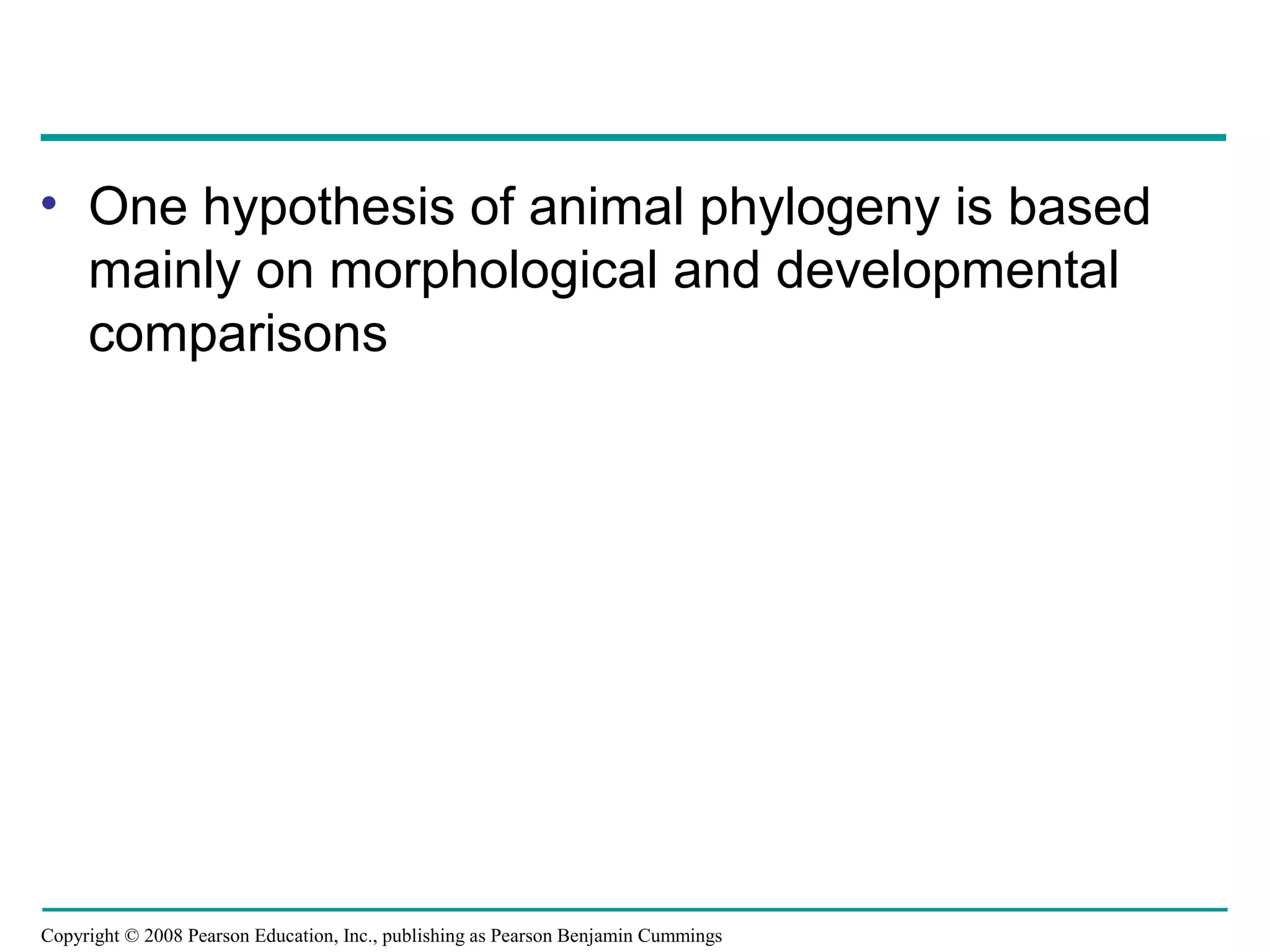 Copyright © 2008 Pearson Education, Inc., publishing as Pearson Benjamin Cummings
• One hypothesis of animal phylogeny is based
mainly on morphological and developmental
comparisons
 