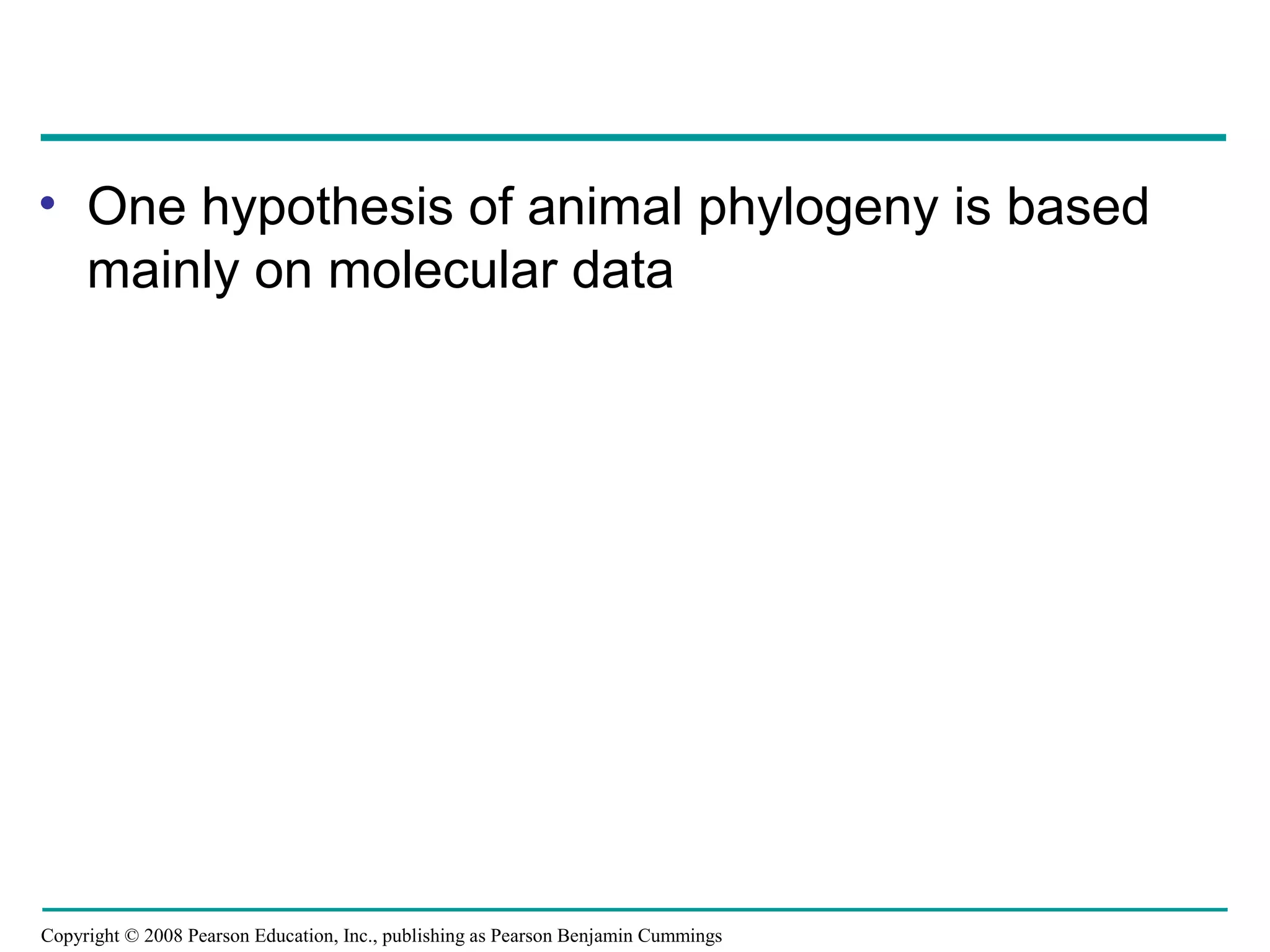 Copyright © 2008 Pearson Education, Inc., publishing as Pearson Benjamin Cummings
• One hypothesis of animal phylogeny is based
mainly on molecular data
 