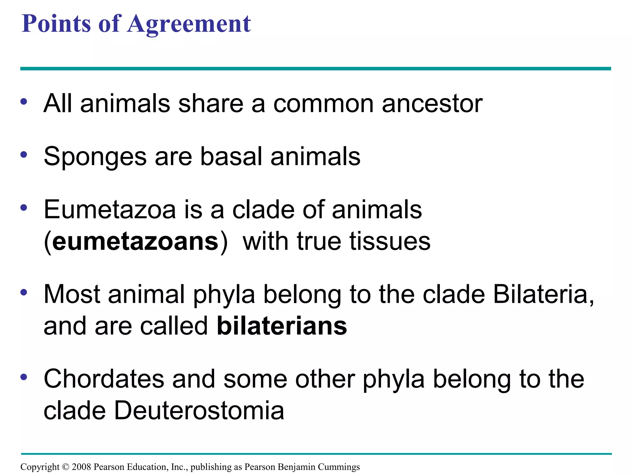 Copyright © 2008 Pearson Education, Inc., publishing as Pearson Benjamin Cummings
Points of Agreement
• All animals share a common ancestor
• Sponges are basal animals
• Eumetazoa is a clade of animals
(eumetazoans) with true tissues
• Most animal phyla belong to the clade Bilateria,
and are called bilaterians
• Chordates and some other phyla belong to the
clade Deuterostomia
 