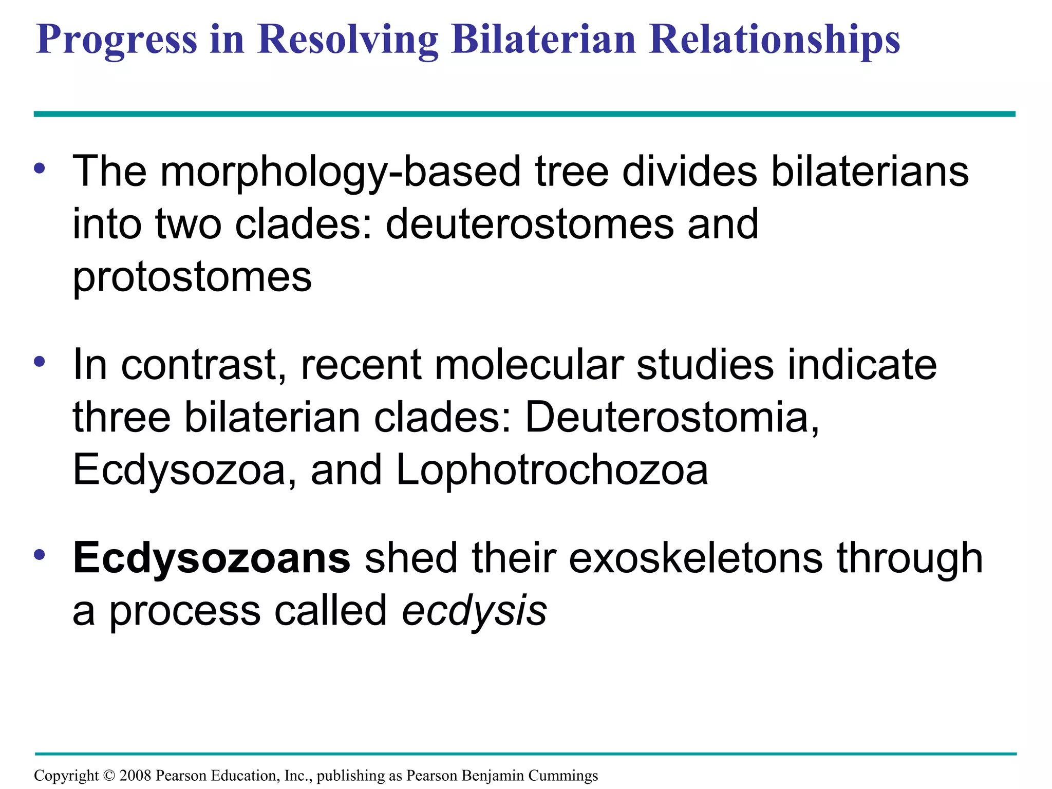 Copyright © 2008 Pearson Education, Inc., publishing as Pearson Benjamin Cummings
Progress in Resolving Bilaterian Relationships
• The morphology-based tree divides bilaterians
into two clades: deuterostomes and
protostomes
• In contrast, recent molecular studies indicate
three bilaterian clades: Deuterostomia,
Ecdysozoa, and Lophotrochozoa
• Ecdysozoans shed their exoskeletons through
a process called ecdysis
 
