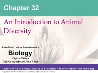 Copyright © 2008 Pearson Education, Inc., publishing as Pearson Benjamin Cummings
PowerPoint®
Lecture Presentations for
Biology
Eighth Edition
Neil Campbell and Jane Reece
Lectures by Chris Romero, updated by Erin Barley with contributions from Joan Sharp
Chapter 32
An Introduction to Animal
Diversity
 