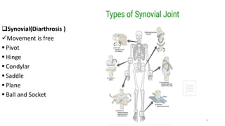 Synovial(Diarthrosis )
Movement is free
 Pivot
 Hinge
 Condylar
 Saddle
 Plane
 Ball and Socket
4
 