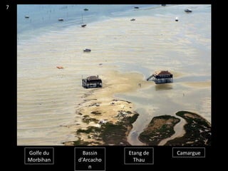 Golfe du
Morbihan
Bassin
d’Arcacho
n
Etang de
Thau
Camargue
7
 