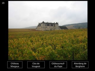 Château
Margaux
Clos de
Vougeot
Châteauneuf-
du-Pape
Altenberg de
Bergheim
19
 