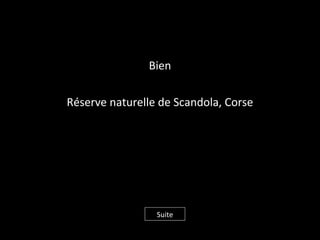 Bien
Réserve naturelle de Scandola, Corse
Suite
 