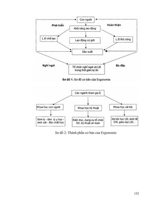 152
Sơ đồ 2: Thành phần cơ bản của Ergonomie
 