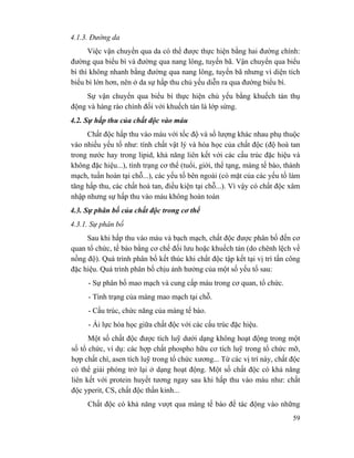 59
4.1.3. Đường da
Việc vận chuyển qua da có thể được thực hiện bằng hai đường chính:
đường qua biểu bì và đường qua nang lông, tuyến bã. Vận chuyển qua biểu
bì thì không nhanh bằng đường qua nang lông, tuyến bã nhưng vì diện tích
biểu bì lớn hơn, nên ở da sự hấp thu chủ yếu diễn ra qua đường biểu bì.
Sự vận chuyển qua biểu bì thực hiện chủ yếu bằng khuếch tán thụ
động và hàng rào chính đối với khuếch tán là lớp sừng.
4.2. Sự hấp thu của chất độc vào máu
Chất độc hấp thu vào máu với tốc độ và số lượng khác nhau phụ thuộc
vào nhiều yếu tố như: tính chất vật lý và hóa học của chất độc (độ hoà tan
trong nước hay trong lipid, khả năng liên kết với các cấu trúc đặc hiệu và
không đặc hiệu...), tình trạng cơ thể (tuổi, giới, thể tạng, màng tế bào, thành
mạch, tuần hoàn tại chỗ...), các yếu tố bên ngoài (có mặt của các yếu tố làm
tăng hấp thu, các chất hoà tan, điều kiện tại chỗ...). Vì vậy có chất độc xâm
nhập nhưng sự hấp thu vào máu không hoàn toàn
4.3. Sự phân bố của chất độc trong cơ thể
4.3.1. Sự phân bố
Sau khi hấp thu vào máu và bạch mạch, chất độc được phân bố đến cơ
quan tổ chức, tế bào bằng cơ chế đối lưu hoặc khuếch tán (do chênh lệch về
nồng độ). Quá trình phân bố kết thúc khi chất độc tập kết tại vị trí tấn công
đặc hiệu. Quá trình phân bố chịu ảnh hưởng của một số yếu tố sau:
- Sự phân bố mao mạch và cung cấp máu trong cơ quan, tổ chức.
- Tình trạng của màng mao mạch tại chỗ.
- Cấu trúc, chức năng của màng tế bào.
- Ái lực hóa học giữa chất độc với các cấu trúc đặc hiệu.
Một số chất độc được tích luỹ dưới dạng không hoạt động trong một
số tổ chức, ví dụ: các hợp chất phospho hữu cơ tích luỹ trong tổ chức mỡ,
hợp chất chì, asen tích luỹ trong tổ chức xương... Từ các vị trí này, chất độc
có thể giải phóng trở lại ở dạng hoạt động. Một số chất độc có khả năng
liên kết với protein huyết tương ngay sau khi hấp thu vào máu như: chất
độc yperit, CS, chất độc thần kinh...
Chất độc có khả năng vượt qua màng tế bào để tác động vào những
 