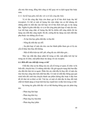 60
cấu trúc bên trong, đồng thời cũng có thể quay trở ra dịch ngoại bào hoặc
máu.
4.3.2. Sự kết hợp giữa chất độc với vị trí tấn công đặc hiệu
Vị trí tấn công đặc hiệu còn được gọi là tế bào đích hoặc thụ thể
(receptor). Có thể có một số lượng lớn xâm nhập vào cơ thể nhưng chỉ
những phân tử chất độc nào kết hợp với tế bào đích mới gây ra tác dụng
độc. Nghĩa là giữa chất độc và vị trí tấn công phải phù hợp về mặt cấu trúc.
Lực kết hợp càng chặt, số lượng thụ thể bị chiếm chỗ càng nhiều thì tác
dụng của chất độc càng mạnh. Do đó, cường độ tác dụng của một chất độc
phụ thuộc vào những yếu tố sau:
- Ái lực hóa học giữa chất độc và thụ thể.
- Nồng độ chất độc tại chỗ.
- Sự phù hợp về mặt cấu trúc của hai thành phần tham gia có bị các
yếu tố khác làm thay đổi không.
- Một số điều kiện tại chỗ: pH, nồng độ các chất điện giải...
Như vậy chất độc được phân bố trong cơ thể, một phần tích luỹ lại
trong các tổ chức, một phần được tác dụng với các receptor.
4.4. Biến đổi của chất độc trong cơ thể
Chất độc chịu sự tác động của các yếu tố trong cơ quan, tổ chức và bị
biến đổi, chuyển hóa. Có những chất độc vẫn giữ nguyên trạng thái ban đầu
cho đến khi thải trừ ra ngoài. Phần lớn các chất đều bị thay đổi về mặt cấu
trúc hóa học cũng như tính chất ban đầu. Có một số chất độc thông qua quá
trình biến đổi sinh hóa chuyển thành sản phẩm không độc hoặc ít độc hơn
để rồi thải trừ ra khỏi cơ thể. Trái lại, có một số chất độc bị thay đổi tính
chất trở thành dạng có hoạt tính hóa học mạnh hơn và độc hơn trong cơ thể.
Sự tương tác giữa chất độc với cơ thể thường thông qua các phản ứng
sau:
- Phản ứng liên hợp
- Phản ứng khử ôxy
- Phản ứng ôxy hóa khử
- Phản ứng thuỷ phân
 