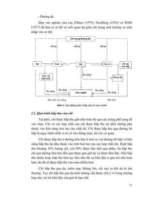 71
- Đường da.
Dựa vào nghiên cứu của Zilhuis (1975), Nordberg (1976) và WHO
(1977) đã đưa ra sơ đồ về mối quan hệ giữa chì trong môi trường và xâm
nhập vào cơ thể
2.2. Quá trình hấp thu của chì
Tại phổi, chì được hấp thu gần như toàn bộ qua các màng phế nang để
vào máu. Chì và các hợp chất của chì được hấp thu tại phổi không phụ
thuộc vào khả năng hoà tan của chất đó. Chì được hấp thu qua đường hô
hấp là nguy hiểm nhất vì nó sẽ vào thẳng máu, tới các cơ quan.
Chì được hấp thu ở đường tiêu hóa ít hơn so với đường hô hấp và khả
năng hấp thu lại phụ thuộc vào tính hoà tan của các hợp chất chì. Ruột hấp
thu khoảng 10% lượng chì, còn 90% được đào thải qua phân. Sự hấp thu
chì qua đường tiêu hóa đến gan được gan giữ lại và được khử độc. Nếu hấp
thu nhiều hoặc hấp thu liên tục liều nhỏ thì sự khử độc ở gan trở nên kém
hơn, do đó sẽ được hấp thu vào máu nhiều hơn.
Chì hấp thu qua da, niêm mạc không lớn, chỉ xảy ra khi da bị tổn
thương. Tuy chì hấp thu qua da kém nhưng cần được chú ý vì trong trường
hợp này vai trò khử độc của gan bị hạn chế.
 
