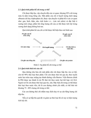 72
2.3. Quá trình phân bố chì trong cơ thể
Chì được hấp thu, vận chuyển đến các cơ quan, khoảng 95% chì trong
máu là nằm trong hồng cầu. Một phần của chì ở huyết tương dưới dạng
albumin chì hay triphosphat chì, được vận chuyển và phân bố ở các cơ quan
như: gan, lách, thận, não, tinh hoàn v.v... (các mô mềm) và đặc biệt ở
xương (mô cứng), phần lớn tổng lượng chì của cơ thể được tích luỹ trong
xương dưới dạng không hoà tan.
Quá trình phân bố của chì có thể được thể hiện theo mô hình sau:
Hình 2: Sự phân bố chì trong cơ thể
2.4. Quá trình thải trừ của chì
Qua đường tiêu hóa chỉ một phần nhỏ chì được hấp thu vào cơ thể,
còn tới 90% thải loại theo phân. Chì còn được thải trừ qua da, theo tuyến
nước bọt niêm mạc miệng tạo thành đường viền Burton. Viền Burton chính
là PbS được tạo thành là do Pb thải trừ theo nước bọt kết hợp với H2S.
Ngoài ra Chì còn được thải loại qua tóc, sữa. Đặc biệt chì trong cơ thể được
thải loại theo nước tiểu, đó là con đường chính yếu nhất, có thể thải trừ
khoảng 75 - 80% lượng chì trong cơ thể.
Các con đường thải chì nhằm mục đích duy trì sự cân bằng lượng chì
tiếp thu.
Nếu có sự hấp thu quá độ và giảm sự thải loại thì sẽ xảy ra hiện tượng
tích luỹ chì.
 