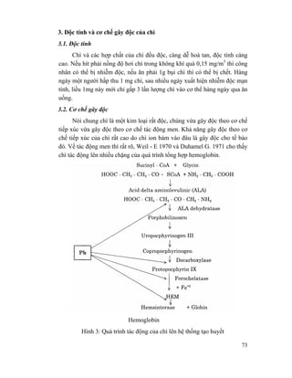 73
3. Độc tính và cơ chế gây độc của chì
3.1. Độc tính
Chì và các hợp chất của chì đều độc, càng dễ hoà tan, độc tính càng
cao. Nếu hít phải nồng độ hơi chì trong không khí quá 0,15 mg/m3
thì công
nhân có thể bị nhiễm độc, nếu ăn phải 1g bụi chì thì có thể bị chết. Hàng
ngày một người hấp thu 1 mg chì, sau nhiều ngày xuất hiện nhiễm độc mạn
tính, liều 1mg này mới chỉ gấp 3 lần lượng chì vào cơ thể hàng ngày qua ăn
uống.
3.2. Cơ chế gây độc
Nói chung chì là một kim loại rất độc, chúng vừa gây độc theo cơ chế
tiếp xúc vừa gây độc theo cơ chế tác động men. Khả năng gây độc theo cơ
chế tiếp xúc của chì rất cao do chì ion bám vào đâu là gây độc cho tế bào
đó. Về tác động men thì rất rõ, Weil - E 1970 và Duhamel G. 1971 cho thấy
chì tác động lên nhiều chặng của quá trình tổng hợp hemoglobin.
Hemoglobin
Hình 3: Quá trình tác động của chì lên hệ thống tạo huyết
 