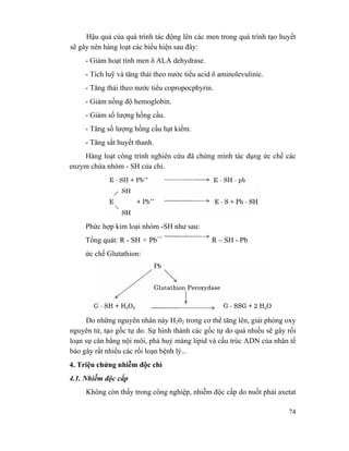 74
Hậu quả của quá trình tác động lên các men trong quá trình tạo huyết
sẽ gây nên hàng loạt các biểu hiện sau đây:
- Giảm hoạt tính men δ ALA dehydrase.
- Tích luỹ và tăng thải theo nước tiểu acid δ aminolevulinic.
- Tăng thải theo nước tiểu copropocphyrin.
- Giảm nồng độ hemoglobin.
- Giảm số lượng hồng cầu.
- Tăng số lượng hồng cầu hạt kiềm.
- Tăng sắt huyết thanh.
Hàng loạt công trình nghiên cứu đã chứng minh tác dụng ức chế các
enzym chứa nhóm - SH của chì.
Phức hợp kim loại nhóm -SH như sau:
Tổng quát: R - SH + Pb++
R – SH - Pb
ức chế Glutathion:
Do những nguyên nhân này H202 trong cơ thể tăng lên, giải phóng oxy
nguyên tử, tạo gốc tự do. Sự hình thành các gốc tự do quá nhiều sẽ gây rối
loạn sự cân bằng nội môi, phá huỷ màng lipid và cấu trúc ADN của nhân tế
bào gây rất nhiều các rối loạn bệnh lý...
4. Triệu chứng nhiễm độc chì
4.1. Nhiễm độc cấp
Không còn thấy trong công nghiệp, nhiễm độc cấp do nuốt phải axetat
 