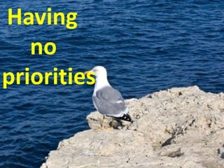 Having
no
• - the bird image for this slide.
priorities