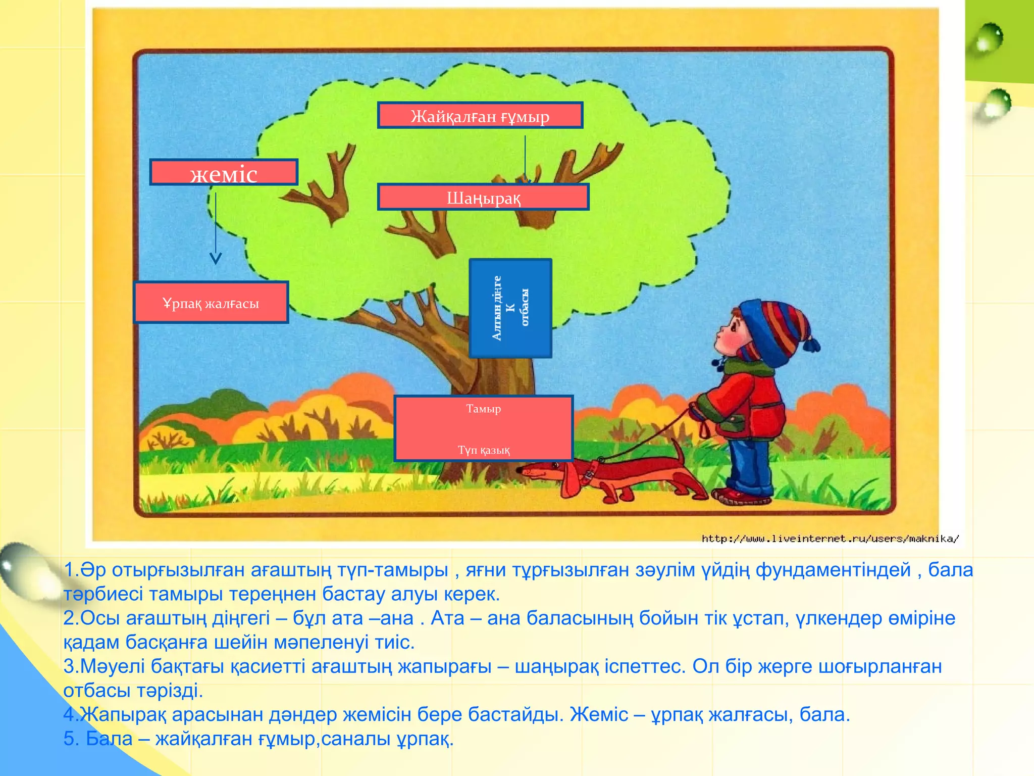 Микроавтобуста